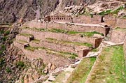 Rico Prou Cusco - Terrasses d'Ollantaytambo