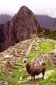 Machu Picchu, cit des nuages